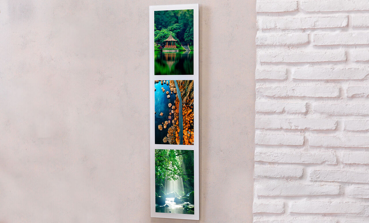 Tres fotos de naturaleza en un moderno cuadro de pared, bosque, agua y luz.