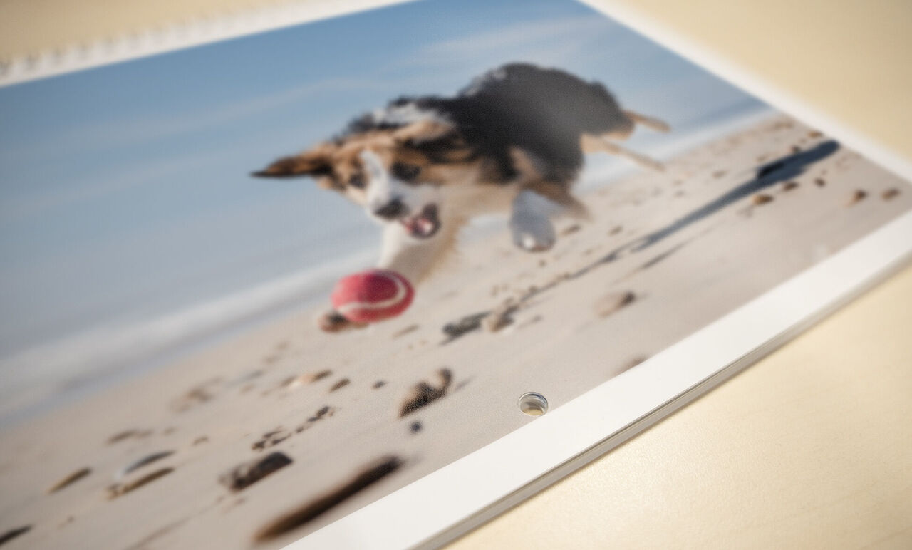 Un perro feliz salta con una pelota roja en la playa.