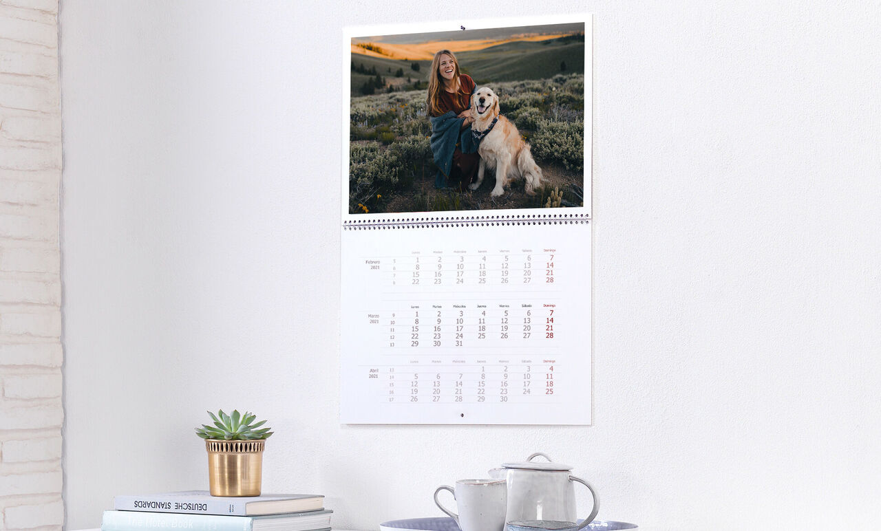 Un calendario de pared con una foto de una mujer y su perro. La mujer está sentada en un prado, montañas y un atardecer al fondo.