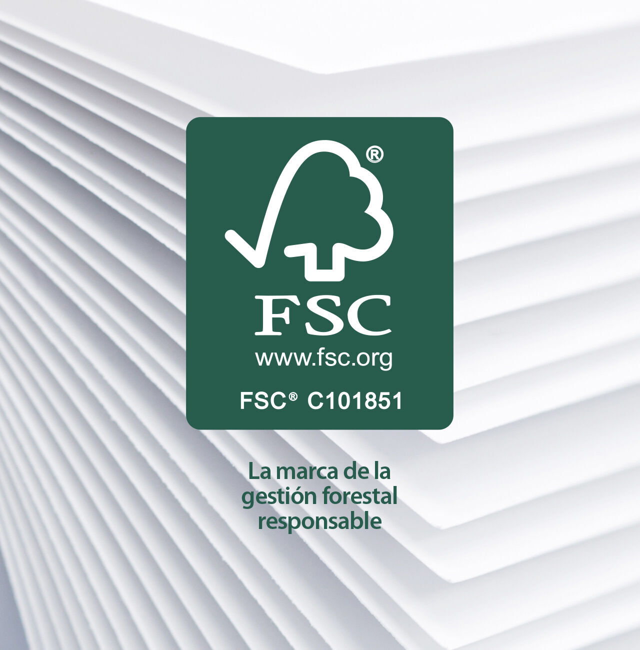 Logo del Consejo de Manejo Forestal con papel apilado de fondo