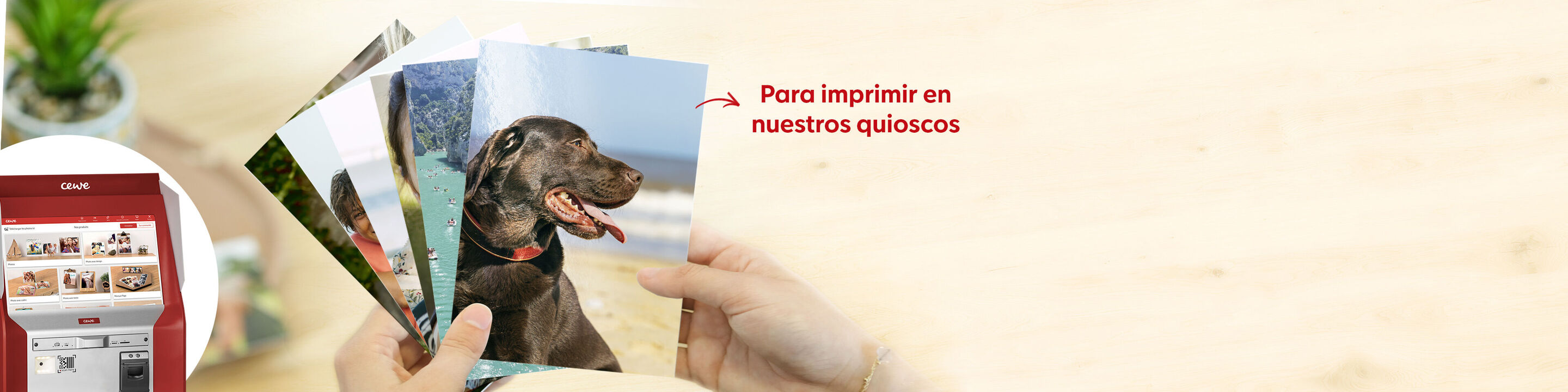 Imprime tus fotos al momento en cualquier de los quioscos para imprimir fotos CEWE que hay repartidos por tiendas de toda España.