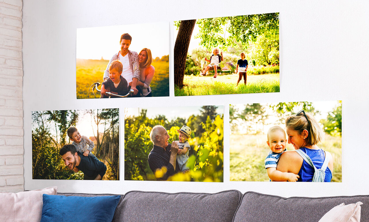 Hermosas fotos familiares brillan en una pared bajo el sol.