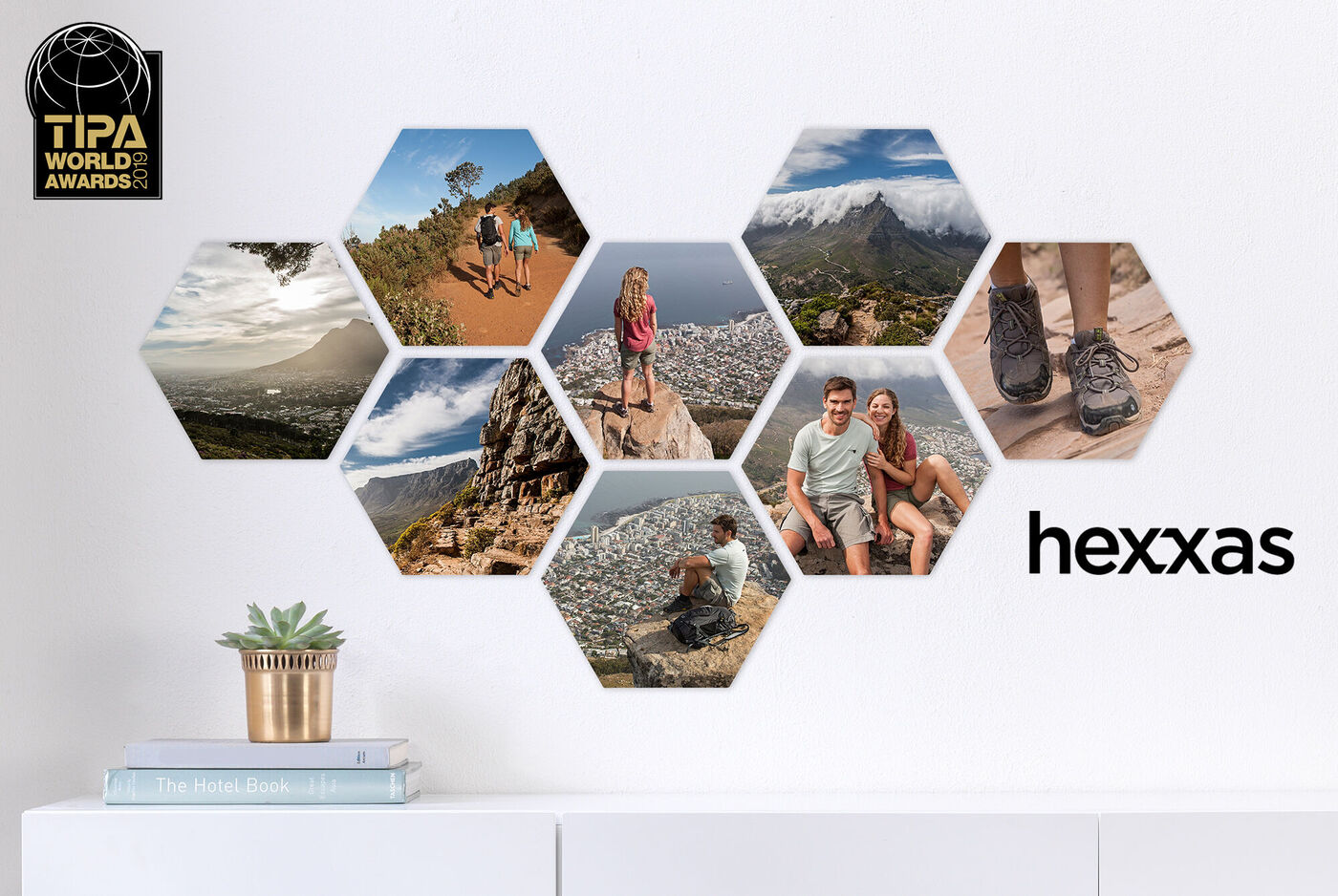 Collage de fotos de amigos en la naturaleza y montañas con una planta pequeña