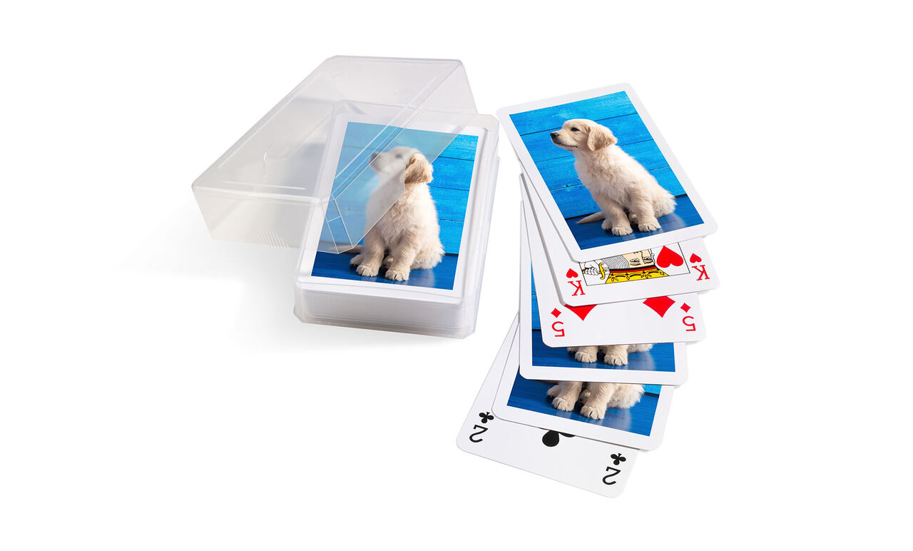 Un encantador set de cartas con un perro en las cartas
