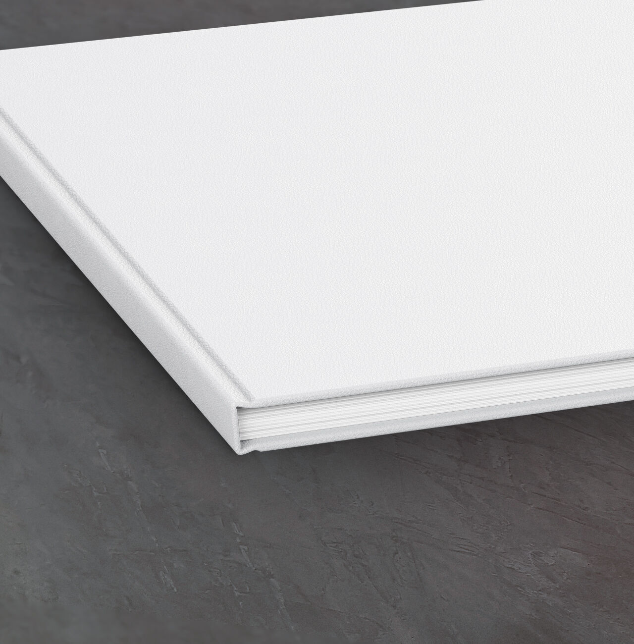 álbum de fotos con tapa de piel blanca