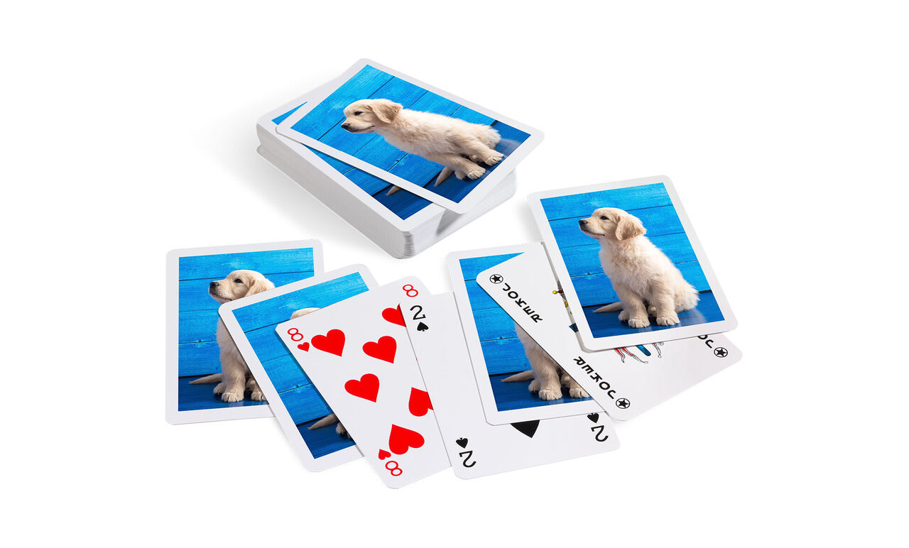 Tarjetas con imágenes de un perro feliz sobre fondo azul