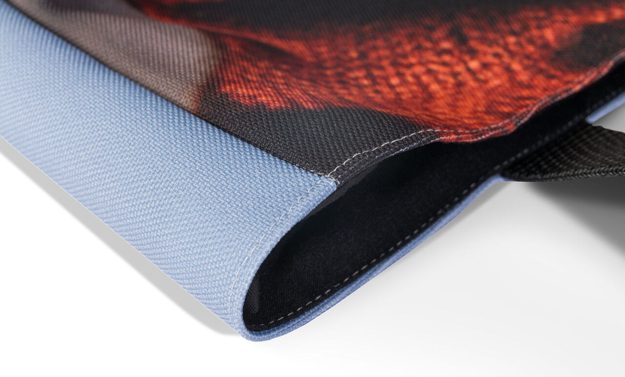 Detalle de una imagen enmarcada con motivo rojo y borde azul