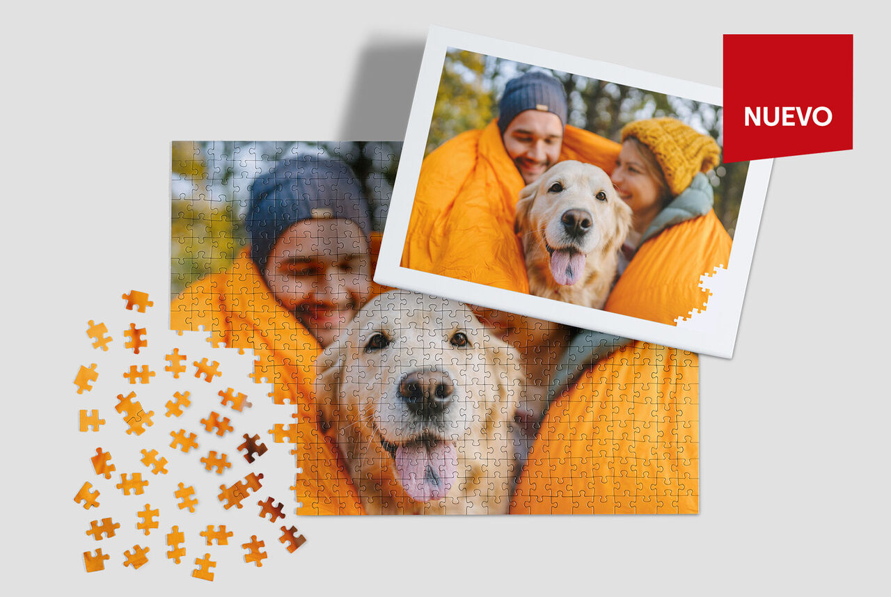 Rompecabezas con un perro y una foto colorida de fondo