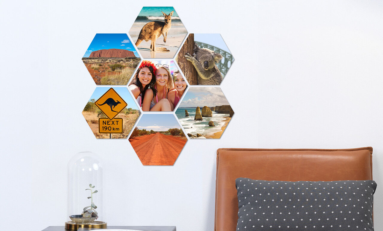 Collage hexagonal de fotos con recuerdos de viajes, incluyendo animales y paisajes.