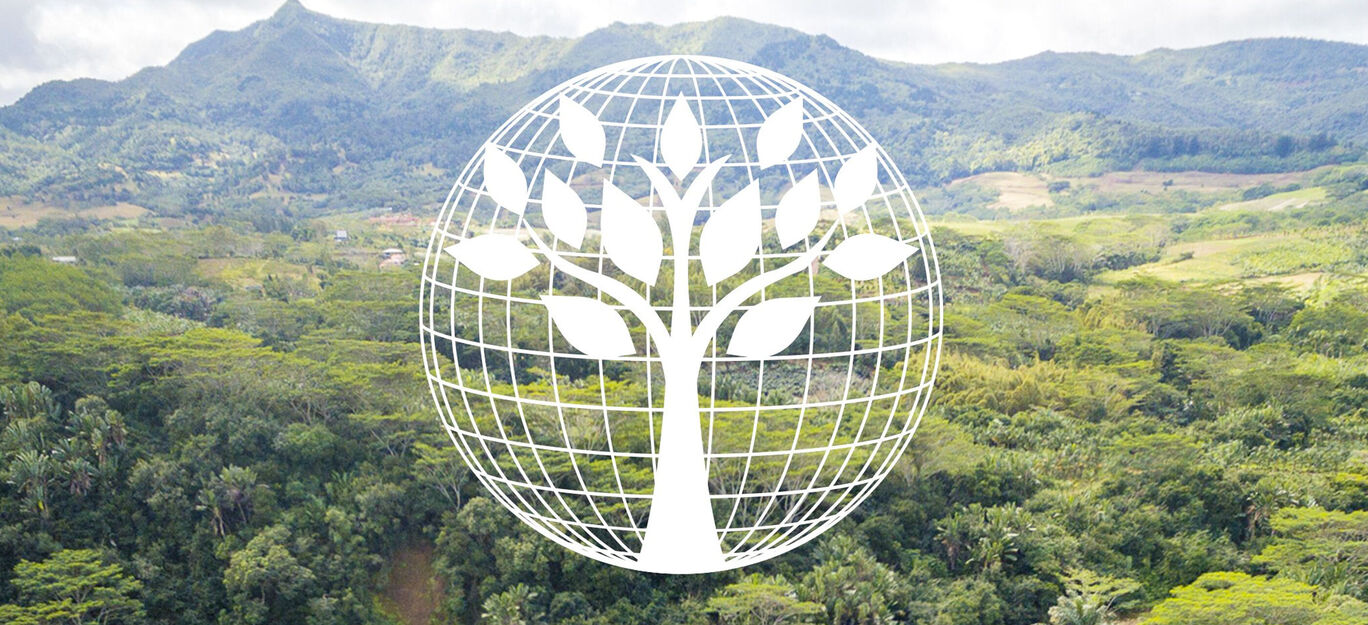 Un logo de árbol estilizado frente a un paisaje verde con montañas al fondo. Simboliza naturaleza y sostenibilidad.